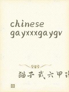 chinesegayxxxgaygv