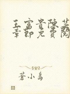 王富贵陈芸最新章节免费阅读