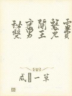 秘密关系电视剧双男主免费观看全集