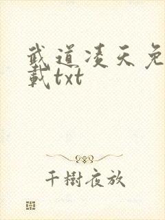 武道凌天免费下载txt