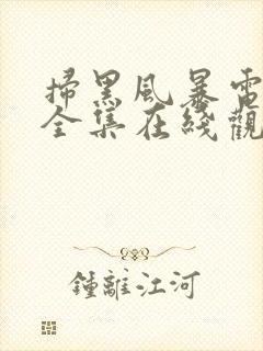 扫黑风暴电视剧全集在线观看免费