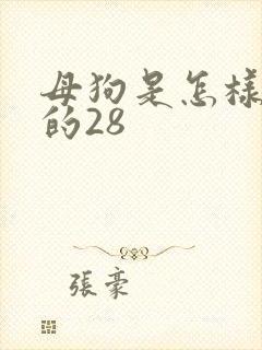 母狗是怎样操熟的28封面