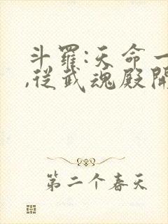 斗罗:天命一族,从武魂殿开始