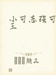 小可志强可人如玉