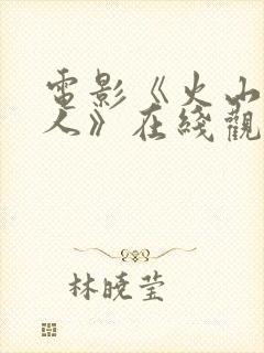 电影《火山口两人》在线观看