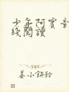 少年阿宾章节在线阅读