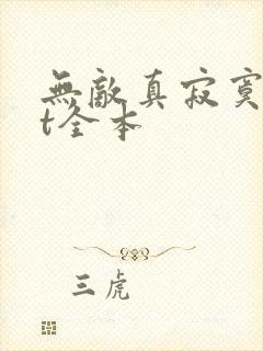 无敌真寂寞txt全本