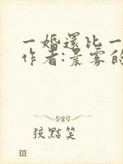 一婚还比一婚高作者:晨雾的光
