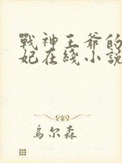 战神王爷的小医妃在线小说