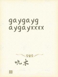 gaygaygaygayxxxx封面