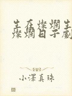 生在灿烂生逢在灿烂日子剧情介绍