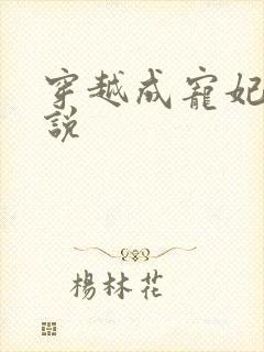 穿越成宠妃的小说