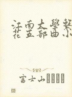 江南大学系列校花五部曲小说