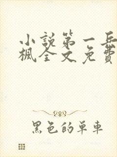 小说第一兵王于枫全文免费阅读