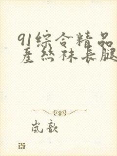 91综合精品国产丝袜长腿久久_久久