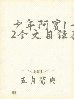 少年阿宾1一72全文目录在线