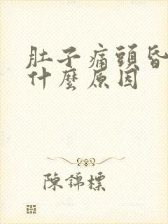 肚子痛头昏想吐什么原因