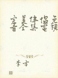 完美伴侣免费观看全集电视剧