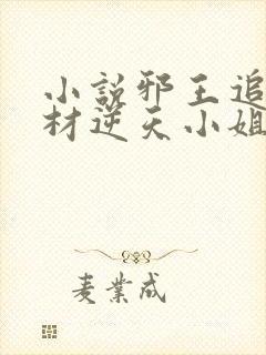 小说邪王追妻废材逆天小姐