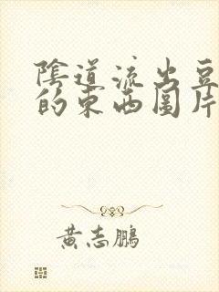 阴道流出豆腐渣的东西图片