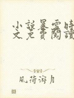 小说暴雪时分全文免费阅读封面