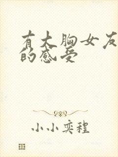 有大胸女友做过的感受