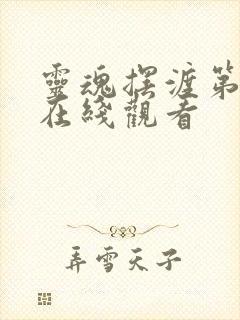 灵魂摆渡第4季在线观看