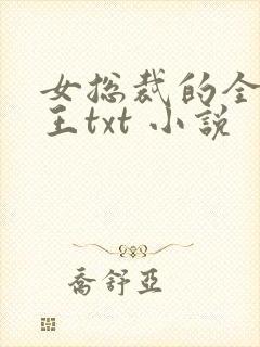 女总裁的全能兵王txt 小说封面