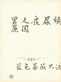 男人夜尿频多的原因