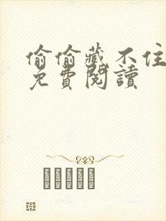 偷偷藏不住完本免费阅读