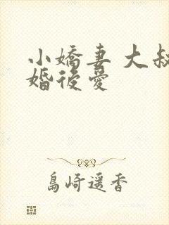 小娇妻 大叔先婚后爱
