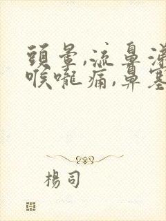 头晕,流鼻涕,喉咙痛,鼻塞,轻微咳嗽