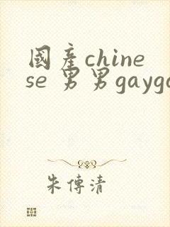 国产chinese 男男gaygay网站封面