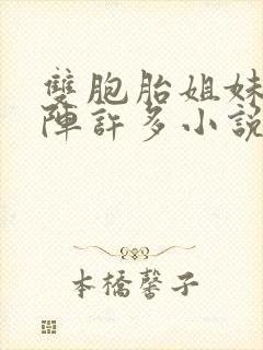 双胞胎姐妹齐上阵许多小说说免费