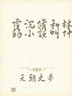 霍沉修和林歆染的小说叫什么名字