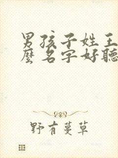 男孩子姓王取什么名字好听封面