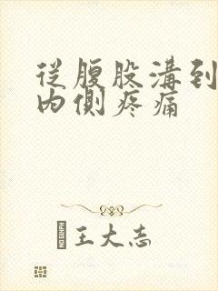 从腹股沟到膝盖内侧疼痛