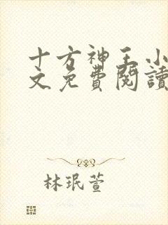 十方神王小说全文免费阅读封面