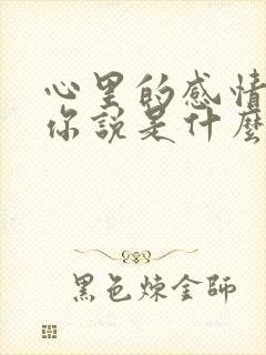 心里的感情都对你说是什么歌