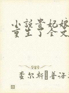 小说贵妃娘娘又重生了全文