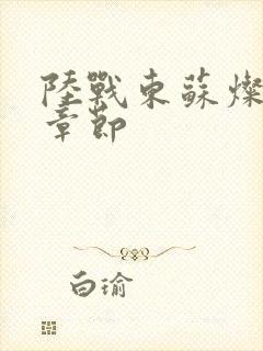 陆战东苏灿后续章节