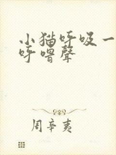 小猫呼吸一直有呼噜声封面