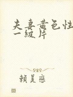 夫妻黄色性生活一级片