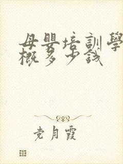 母婴培训学费大概多少钱