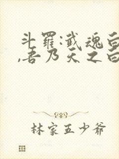 斗罗:武魂白虎,吾乃天之白帝txt下载封面