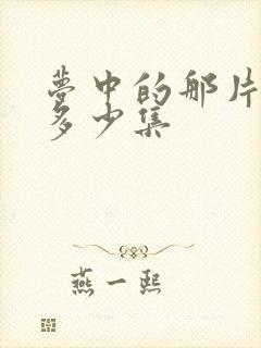 梦中的那片海是多少集