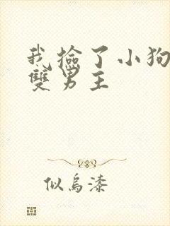 我捡了小狗by双男主