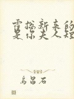 霍总新来的好像是你夫人短剧全集