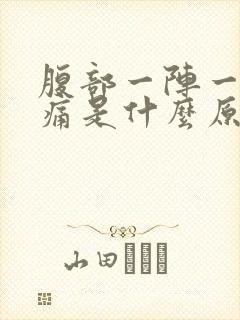 腹部一阵一阵的痛是什么原因