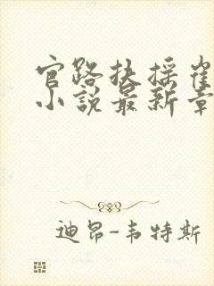 官路扶摇崔向东小说最新章节